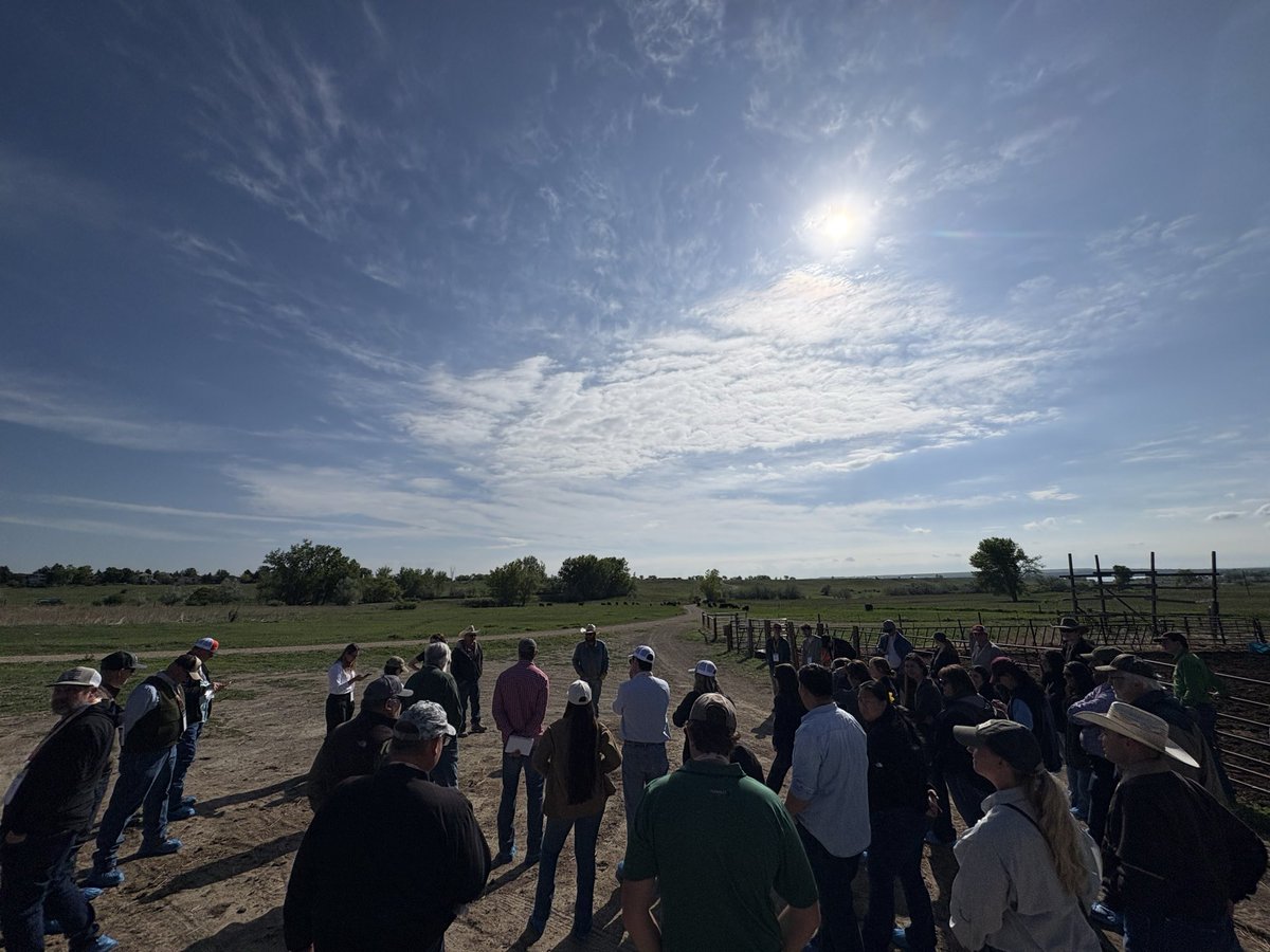 kacie_mccarthy's tweet photo. Beef Symposium Stop 1 at Boulder Valley Ranch and learning about their implementation of Halter collars 
#ASAS #westernsection #unlbeefext https://t.co/H97NnTonG5