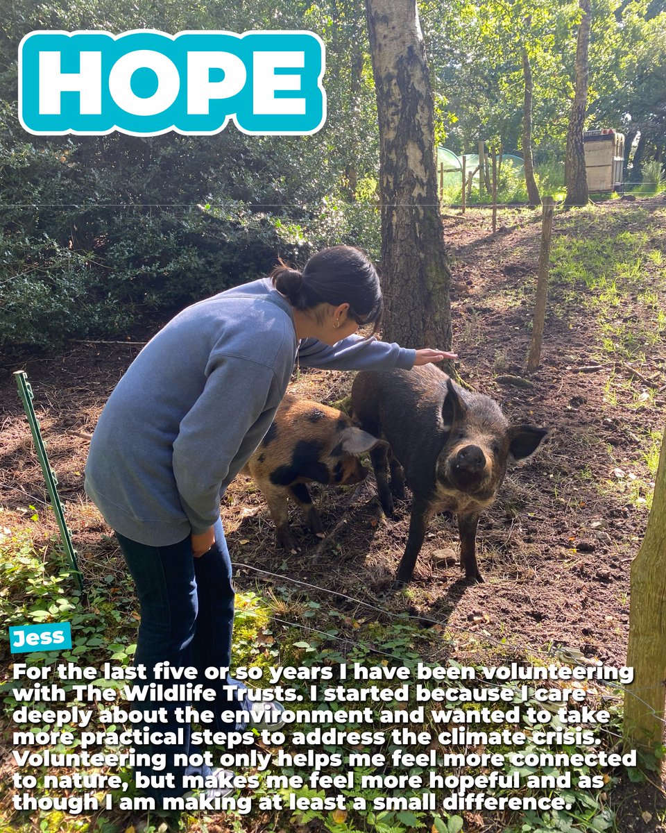 V4CE's tweet photo. This #VolunteerWeek2026, we're celebrating the incredible voluntary work of V4CE colleagues beyond the workplace.

From prison letter writing and food bank support to wildlife conservation, education, disability inclusion, and survivor advocacy, our team is making a difference in many ways.

Read the full stories here 👇

🔗https://t.co/VXFBkIwaIZ

#Volunteering #SocialImpact