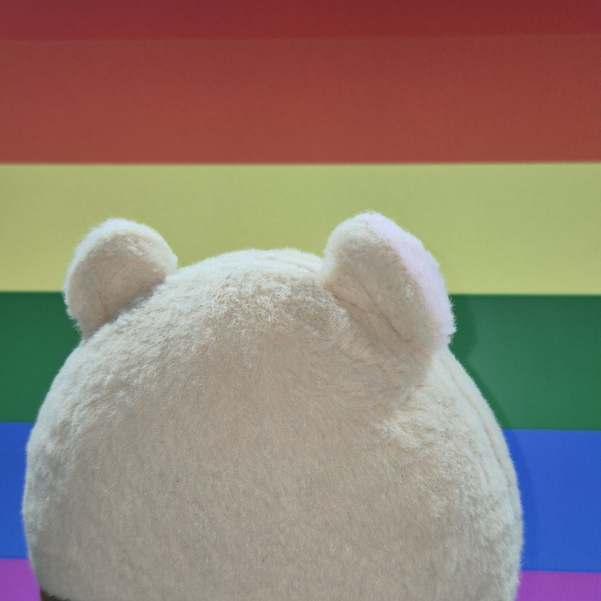 bamjjicandoit's tweet photo. bamjji says love is love! (what was that) https://t.co/pUth4WKITb