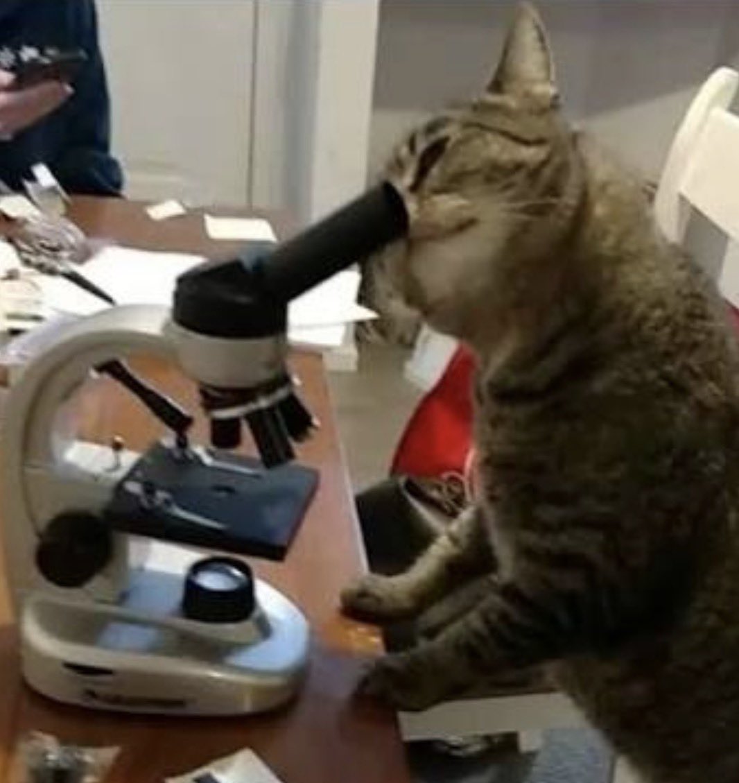 OrthodoxLurker's tweet photo. Me in the lab trying to cook up the most outrageous bait that somehow combines:
-infant baptism
-PSA
-Bitcoin
-co-sleeping
-dating discourse https://t.co/YbnekV06q9