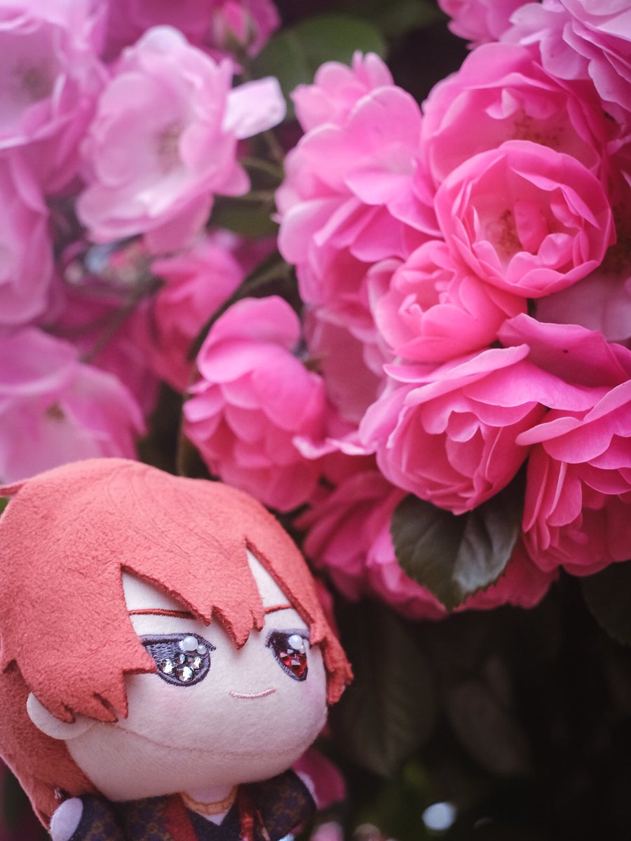 lio___log's tweet photo. 滑り込みローズの日🌹

#エイトリぬい https://t.co/k2iiUDRQRK