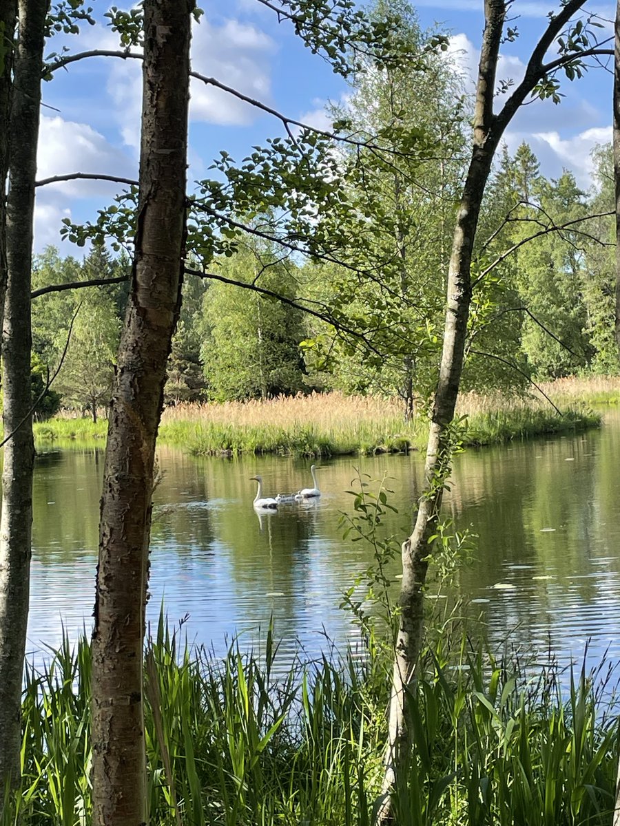 kpkrille's tweet photo. Out walking https://t.co/zELy14f6Yf