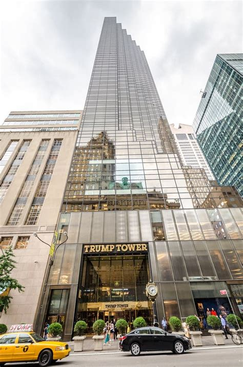 1goodtern's tweet photo. Do you know what actually kills *billions* of birds every year?

🚨GLASS SKYSCRAPERS 🚨

GLASS SKYSCRAPERS LIKE TRUMP TOWER

The man is the most despicably malignant stupid hypocrite in the history of history. https://t.co/qA8LgXkkJ4