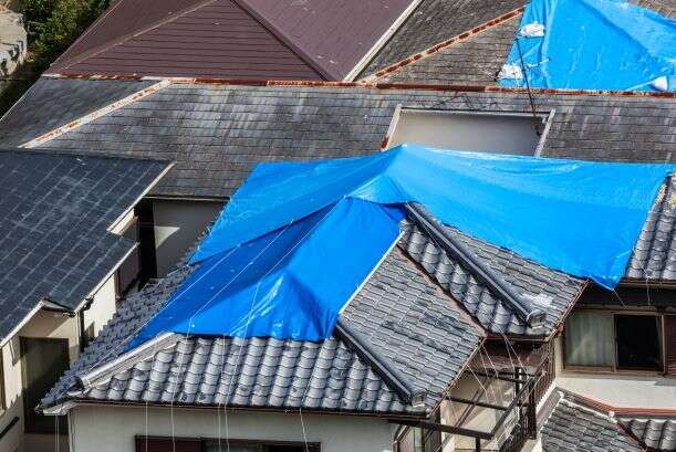 nwflbbb's tweet photo. BBB Tip: Plan, prepare, respond and recover. Protect your business from a natural disaster - No matter what time of year it is, weather, natural disasters, fire, or any other emergency can impact a business. https://t.co/9YPny5Ma1V https://t.co/qV1KwEvmI4