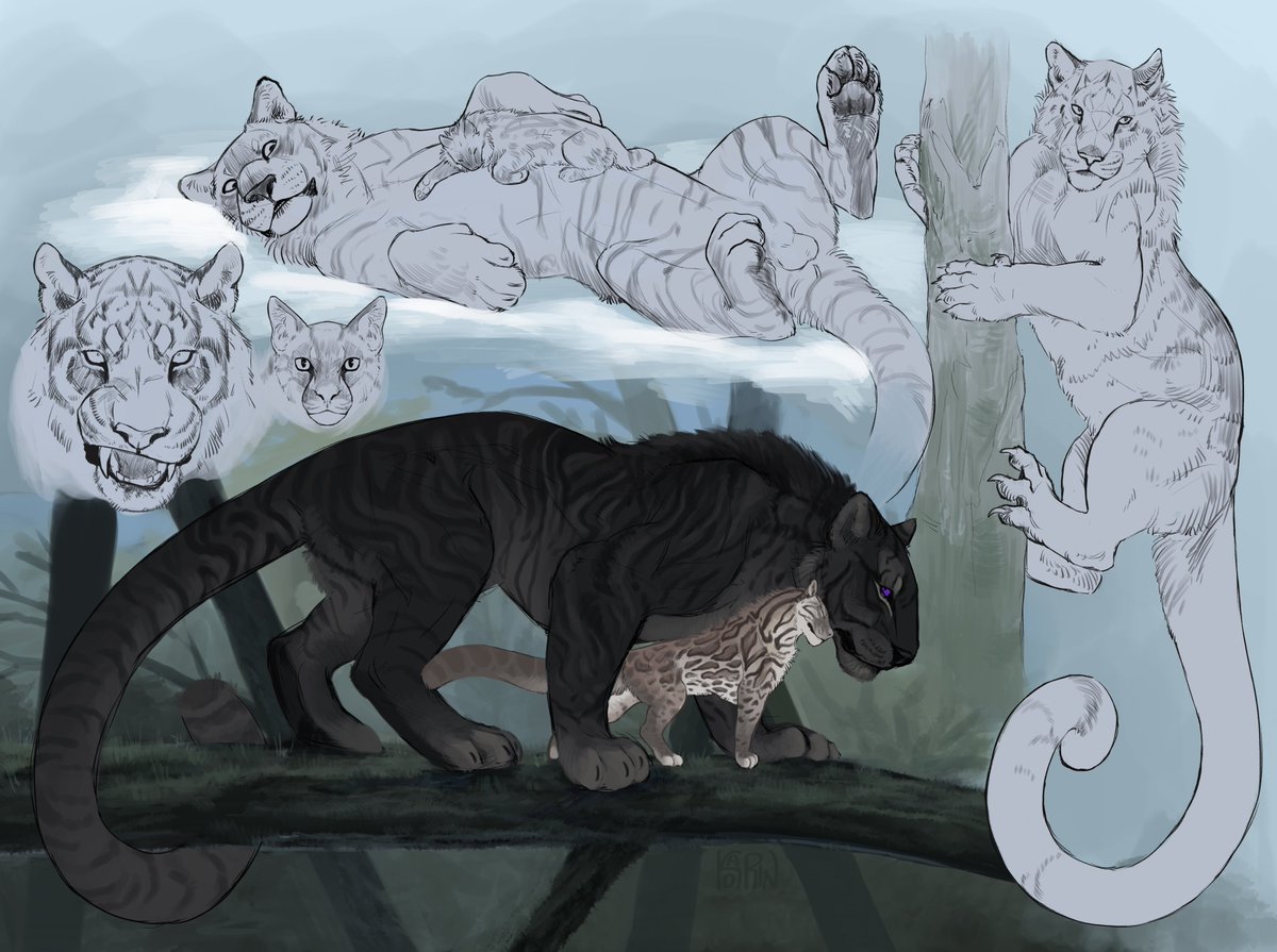 Kroat0's tweet photo. Feline theme https://t.co/Gpm9daUG5O