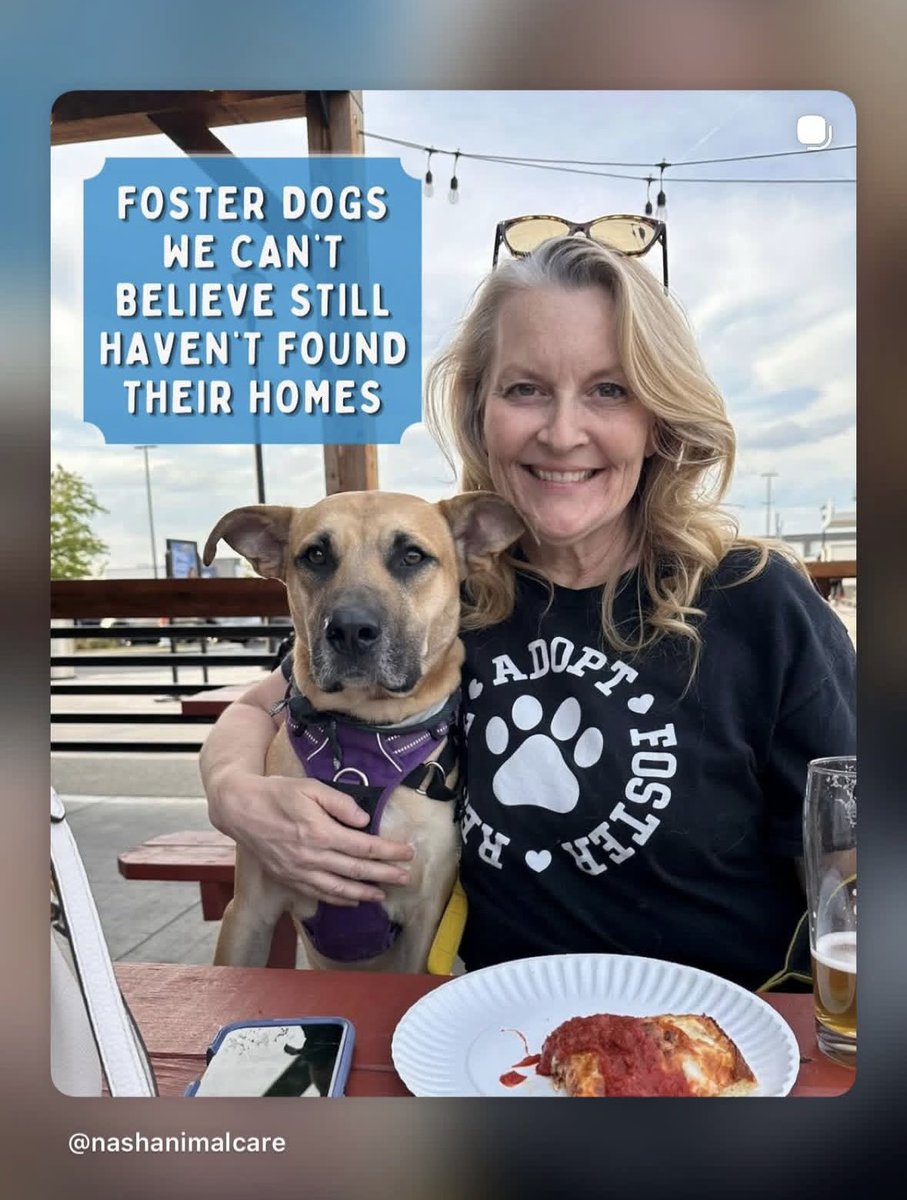 MirandaTalks001's tweet photo. https://t.co/aAumwaKMww