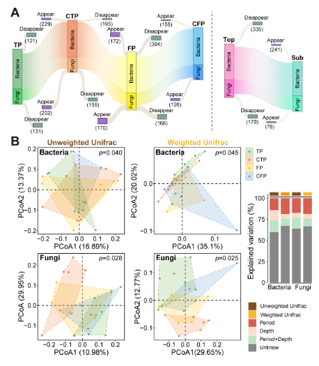 ASMicrobiology's tweet photo. Freeze-thaw processes profoundly affect soil carbon storage by altering microbial communities. In #mSystems, researchers show that freeze-thaw strength regulates carbon density through microbial assembly processes and network clustering. https://t.co/v4TN7Oqo9Q https://t.co/PTK2hLIu2H