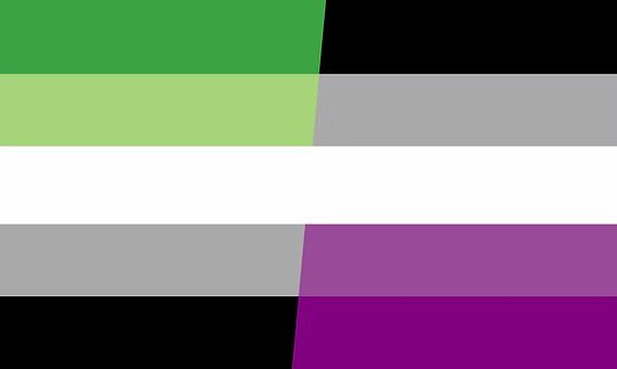 ahlkrin's tweet photo. Happy pride from your local AroAce shitposter! https://t.co/mMGtkA9XqY