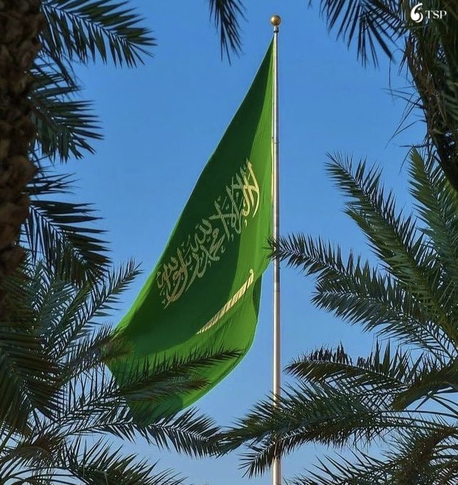 السعودية و7 دول عربية تدين انتهاكات إسرائيل في الأقصى