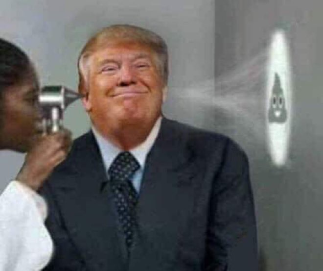 Damaan4u33's tweet photo. What the doctors really found when they examined Trump's head! 🗑️ https://t.co/yqAnmAQ7wA