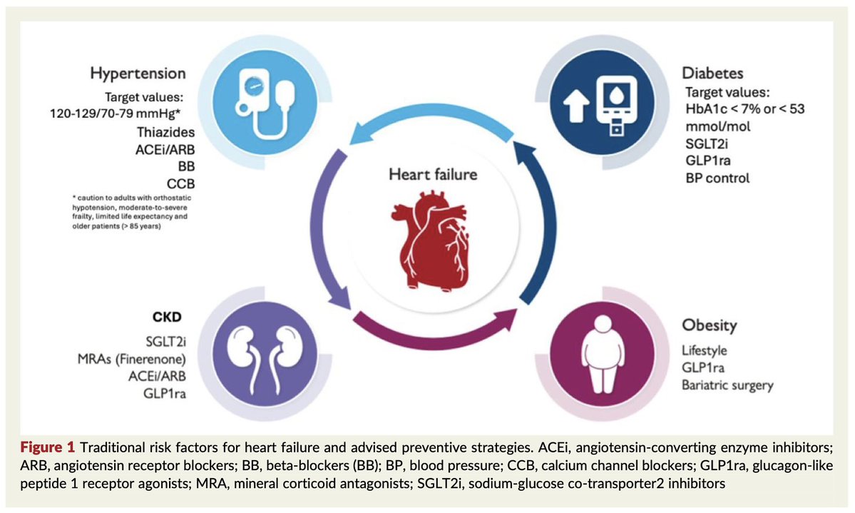 HFA_President's tweet photo. 🫀What drives the development of heart failure?

The new #HFA_ESC scientific statement highlights the broad spectrum of risk factors contributing to #HeartFailure including:
📍Cardiac-kidney-metabolic syndrome
📍Lifestyle factors
📍Cancer therapies
📍Female-specific risk factors
📍Environmental & socioeconomic determinants

Preventing HF requires a holistic approach focused on early identification & management of these interconnected risks

Read more in #EJHF @EJHFEiC : https://t.co/EqOZ6zRLG7

@escardio @MarcoMetra @m4ggiesimpson