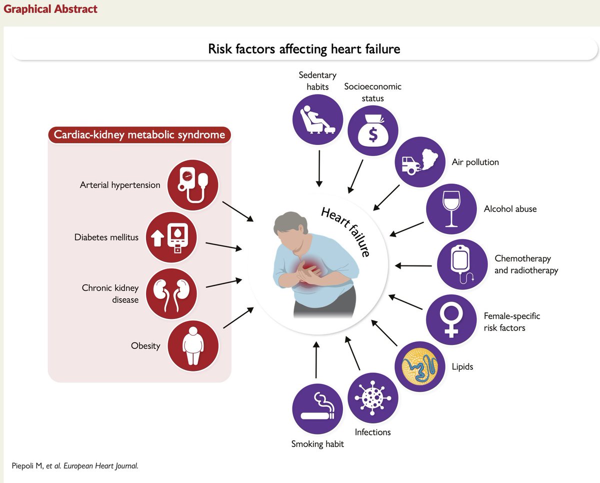 HFA_President's tweet photo. 🫀What drives the development of heart failure?

The new #HFA_ESC scientific statement highlights the broad spectrum of risk factors contributing to #HeartFailure including:
📍Cardiac-kidney-metabolic syndrome
📍Lifestyle factors
📍Cancer therapies
📍Female-specific risk factors
📍Environmental & socioeconomic determinants

Preventing HF requires a holistic approach focused on early identification & management of these interconnected risks

Read more in #EJHF @EJHFEiC : https://t.co/EqOZ6zRLG7

@escardio @MarcoMetra @m4ggiesimpson