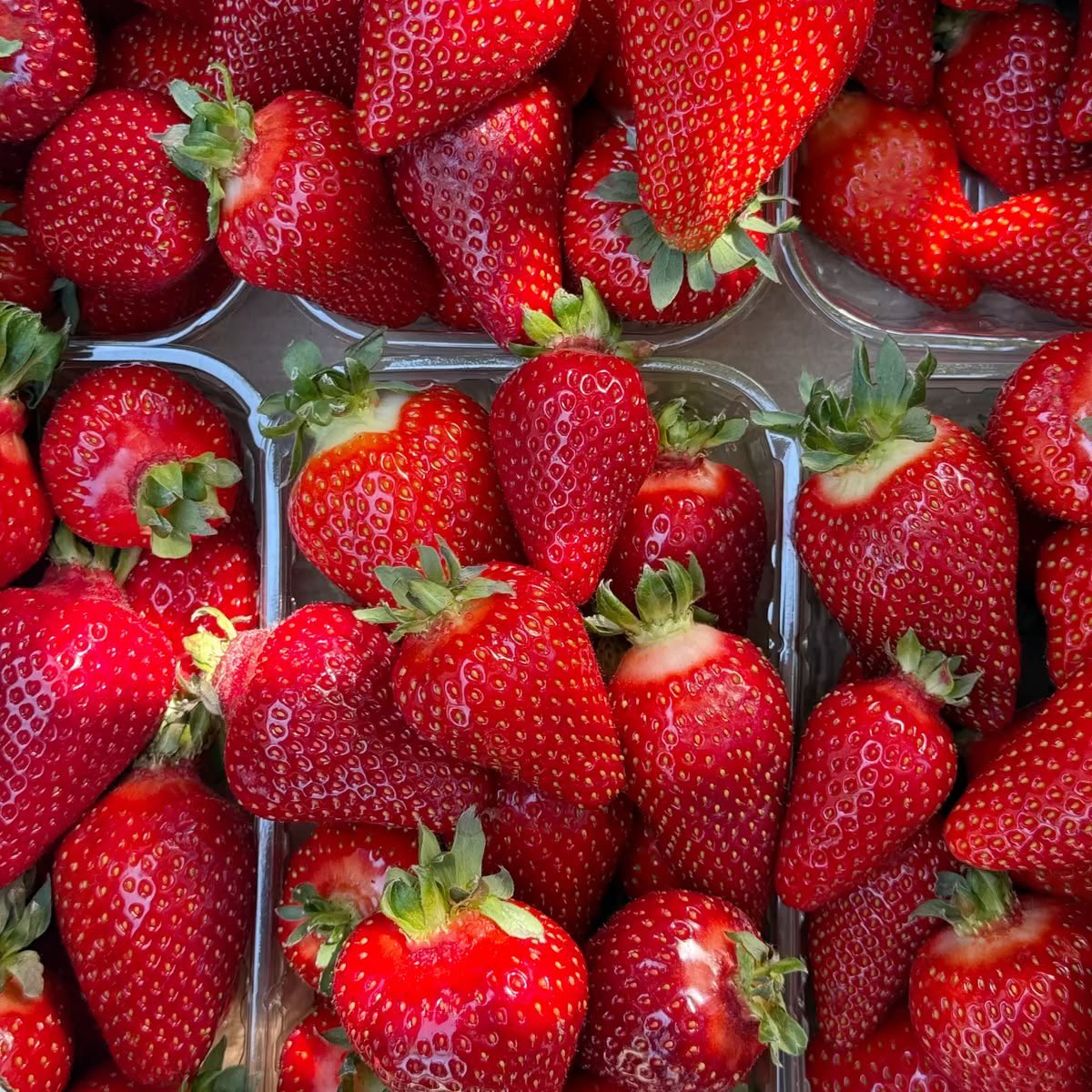 nabibobedau's tweet photo. (  🍓  )  feedback  SUPER   positivo  para  @dash__alien   !!  que  me  enviou  esse  poca  do  hyun  mas  quem  me  deu  ele  foi  a  minha  amiga  ,  mesmo  assim  veio  com  muuuitos  brindes  e  super  bem  embalado  ,  muito  obrigada  e  obrigada  rosi  pelo  presente <33 https://t.co/GtRKJNjjWh