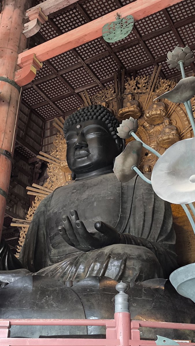 間近で拝見すると思ってる以上の大きさに驚きです。 大仏様の後ろの柱