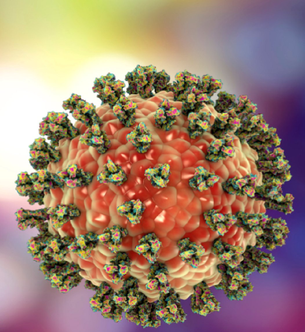 GreereMedeea's tweet photo. 🚨 BREAKING MEDICAL NEWS: Dr. Patrick Soon-Shiong Warns Of A Potential “TURBO CANCER” Pandemic — Alarming Questions Raised Over Spike Protein Findings [VIDEO]

🚨 Renowned cancer researcher Dr. Patrick Soon-Shiong sounds the alarm over what he describes as a potential pandemic of aggressive “turbo cancers.” New findings involving spike protein persistence are fueling urgent calls for investigation, transparency, and further scientific research.

🚨 TOP CANCER EXPERT ISSUES SHOCK WARNING: “We Could Be Facing A Pandemic Of Turbo Cancers”

👉 FULL STORY NOW LIVE: https://t.co/NEb7Xd7sjj

📢 Join Telegram: https://t.co/FWCa4CamU4

🌐 Real Stories. True Journalism: https://t.co/F2U5vWBg3k

#PatrickSoonShiong #TurboCancer #CancerResearch #BreakingMedicalNews #SpikeProtein #HealthAlert #Oncology #PublicHealth #MedicalScience #AMGNews