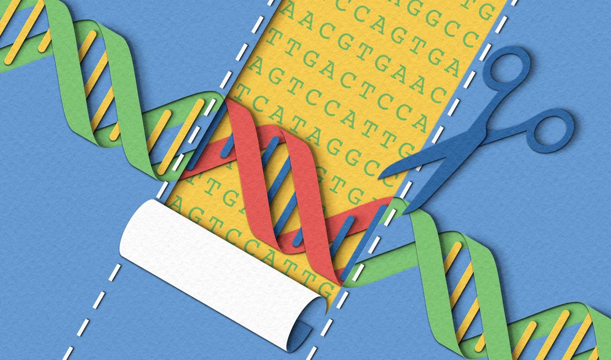 RappArt's tweet photo. @zaraillustrates's style could not be more perfect for this story!

In The Texas Scientist: "Cut, Paste, Cure" is about how CRISPR is revolutionizing biology. This gene-editing tech acts as molecular scissors to find, cut, and replace  genetic sequences.

https://t.co/P2jkWEqxpb https://t.co/cX7Gy7VTWE