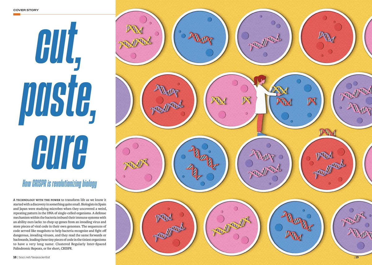 RappArt's tweet photo. @zaraillustrates's style could not be more perfect for this story!

In The Texas Scientist: "Cut, Paste, Cure" is about how CRISPR is revolutionizing biology. This gene-editing tech acts as molecular scissors to find, cut, and replace  genetic sequences.

https://t.co/P2jkWEqxpb https://t.co/cX7Gy7VTWE