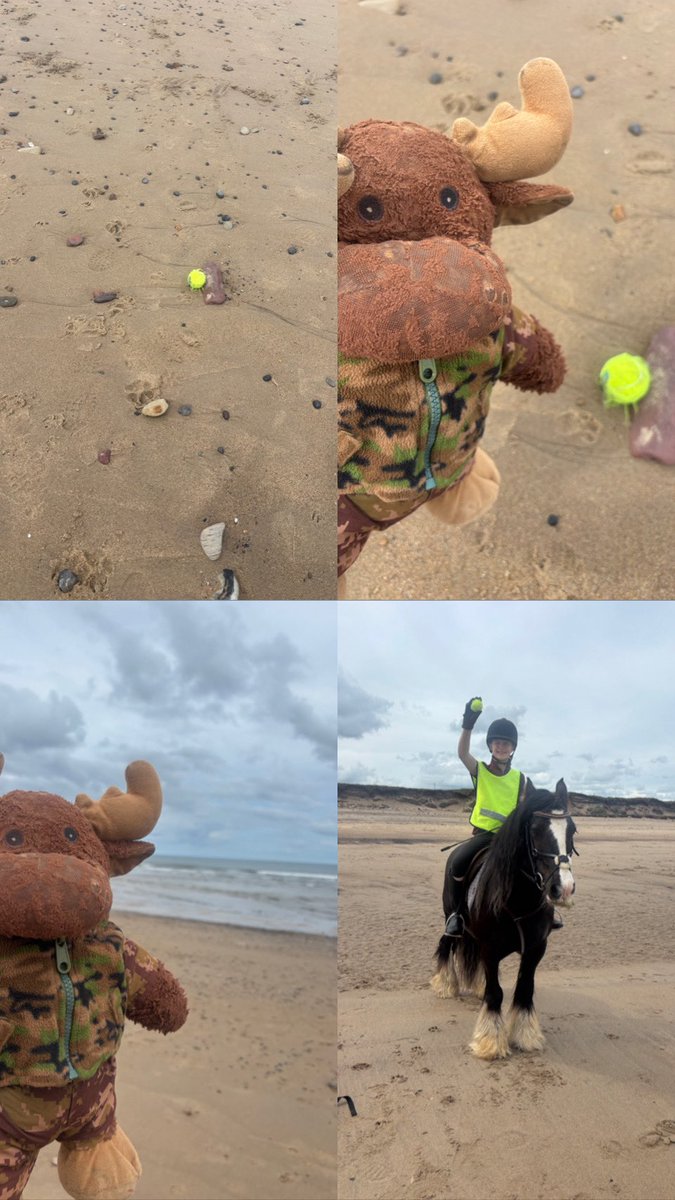 waddells74's tweet photo. #litter #Cambois #Northumberland 🏖️ keeping my horse 🐴 safe and all dogs 🐶 🐕 and stopping hazards reaching the sea 🌊 🦭 🐦 🐬 🐳 🐙 🥰 it takes 2minutes to #Binit I have looked after this beach 🏖️ for 11 years it’s worth protecting 🌊 🏖️ xx https://t.co/CMGxks0ldf
