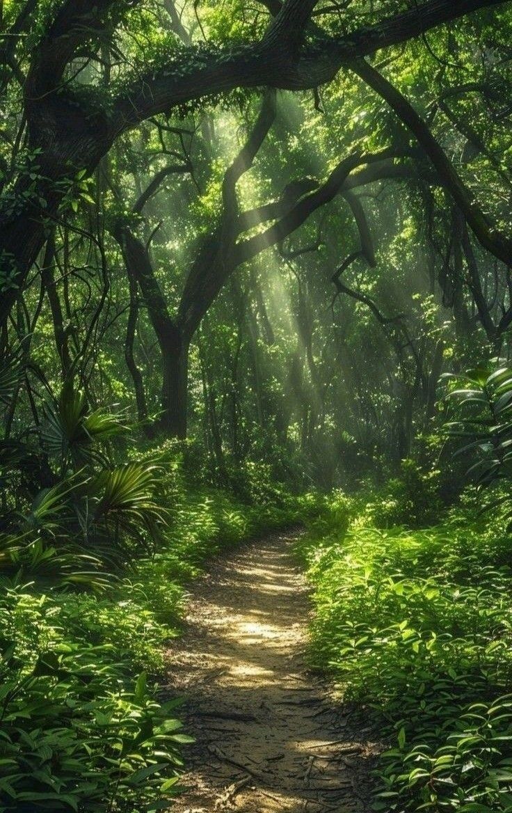 earthwhisperss's tweet photo. Morning walk here <3 https://t.co/YI7zdHESHY