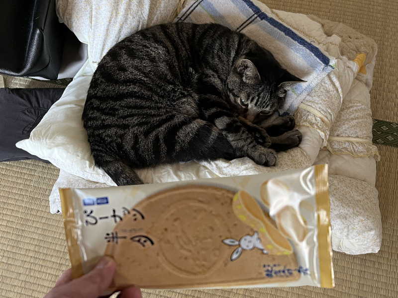 tomica1970com's tweet photo. 我が家の猫が半月になってました(笑)
トミカネタじゃなくてスミマセン<(_ _)> https://t.co/rWdK7XzPlL