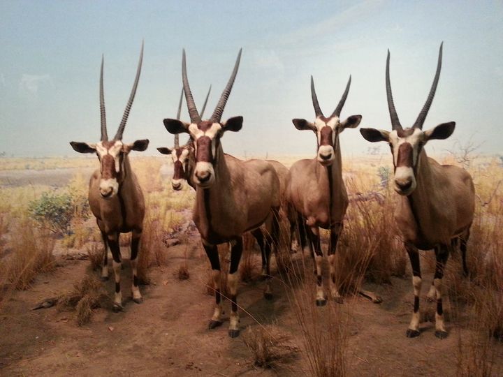 bigbadme1's tweet photo. Art of the Day! "The Four". Buy at: https://t.co/2ZABELVtL6 https://t.co/e4afCRmZck