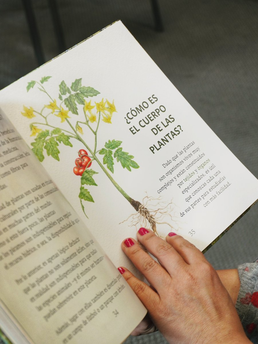 editorialUN's tweet photo. 📚✨ ¿Qué es el libro universitario y cómo saber si el conocimiento realmente llega a sus lectores, genera conversación o transforma algo en ellos?

📖 Lee «Los caminos de los libros» por Juanita Villaveces, dir. Editorial UNAL 🔗https://t.co/fVfsX9mjsP https://t.co/2zL7j0eUZv