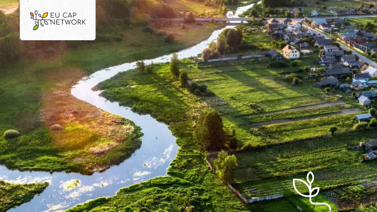 eucapnetwork's tweet photo. Discover the LEADER LAG Directory 🌍
Browse Local Action Groups across the EU, explore their priority themes, and connect with potential partners for your next #LEADER project.
👉 Explore the directory: https://t.co/WF089QnoHD
#EUCAPNetwork #LeaderCLLD https://t.co/9xkA3zwuy3