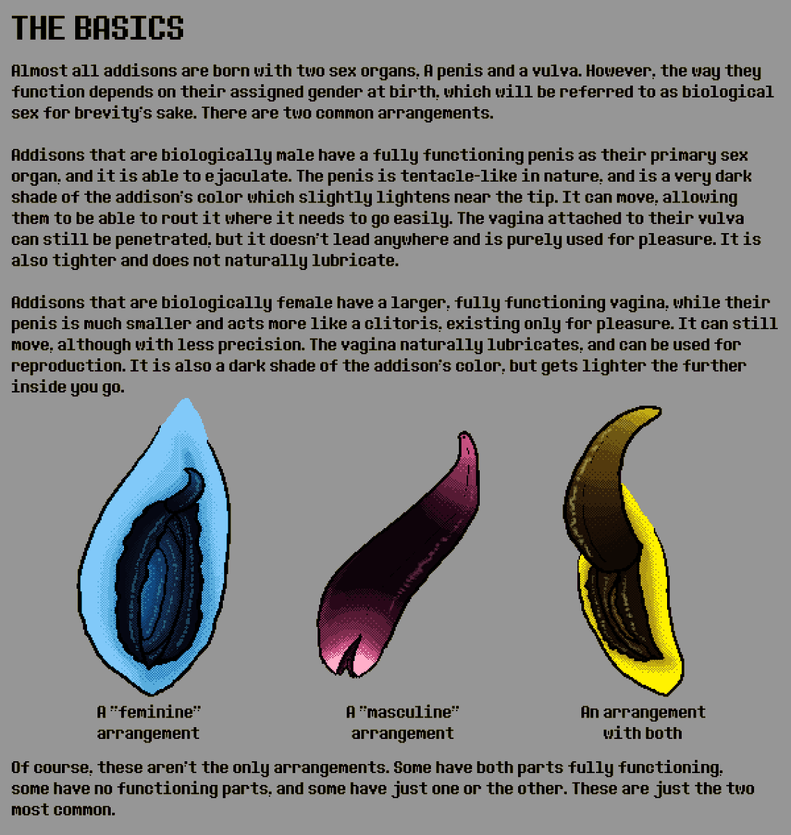 vectorafterdark's tweet photo. Behold, my write-up on addi$on anatomy! These are all my personal headcanons, and it was fun to think up the explanations for these things. Also peep the colors of the bits for my own headcanons on the canon addi$ons' bits 👀

#deltaruined #deltarunensfw #deltarule34 https://t.co/enBkNZKqzC