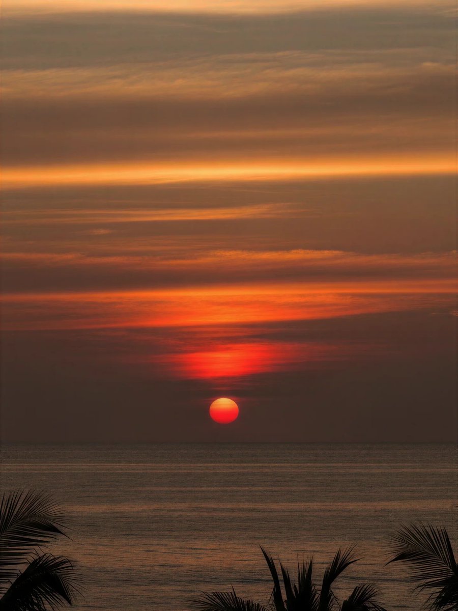 shadesof_nature's tweet photo. https://t.co/W6pOsmBVod