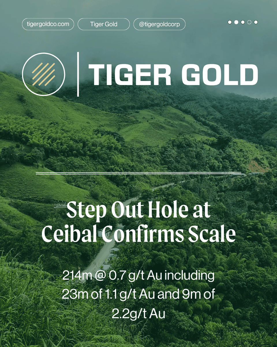 tigergoldcorp's tweet photo. $TGRGF  $TIGR $TIGR.v
Tiger Gold's Ceibal target just delivered another strong Step-Out hole: 214m @ 0.7 g/t Au including 23m of 1.1g/t Au and 9m of 2.2g/t https://t.co/UhCWQHonc3