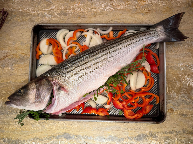 FishTalkMag's tweet photo. Dan took me and our mutual friend Vadim out fishing for slot rockfish one day late last fall, and the next evening, texted me the picture of his meal. I thought, “Wow! I’ve gotta try that!” I thought plenty of you might want to give it a shot, too. https://t.co/m1nnvuK62k https://t.co/d8qrU98m9n