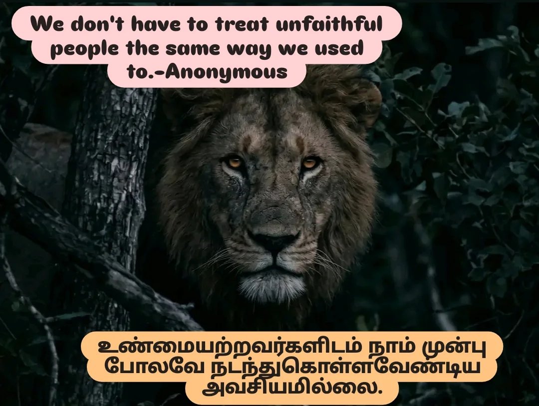 arul444444's tweet photo. #உண்மையற்றவர்
#முன்புபோல்
#நடத்தல்
#அவசியமற்றது
#UnfaithfulPeople
#NotSameWayWeUsed
#Treating
#Unrequired https://t.co/NarHBO4FXy