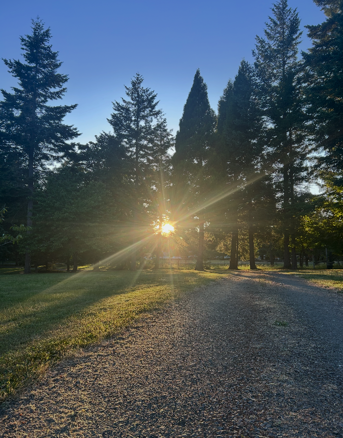 carleolson's tweet photo. Gratuitous driveway shot. https://t.co/YtrC4Jlunr
