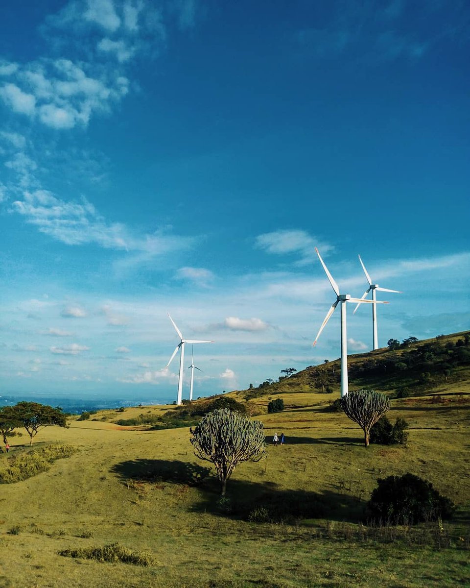 WikimediaK's tweet photo. Knowledge has the power to transform our future.
This year, Wikimedia Kenya joins the global #WikiForSustainableFutures campaign under the theme: “Knowledge to Transform: Water, Food and Energy.”

#WikiForSustainableFutures
#ClimateAction https://t.co/diZGI4EYKW