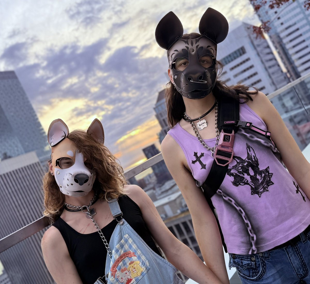 akiyoghurt's tweet photo. girls that are also dogs <3 https://t.co/lMAQOpyNzJ