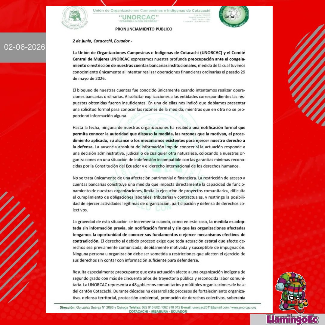 Llamingo.Ec tweet media