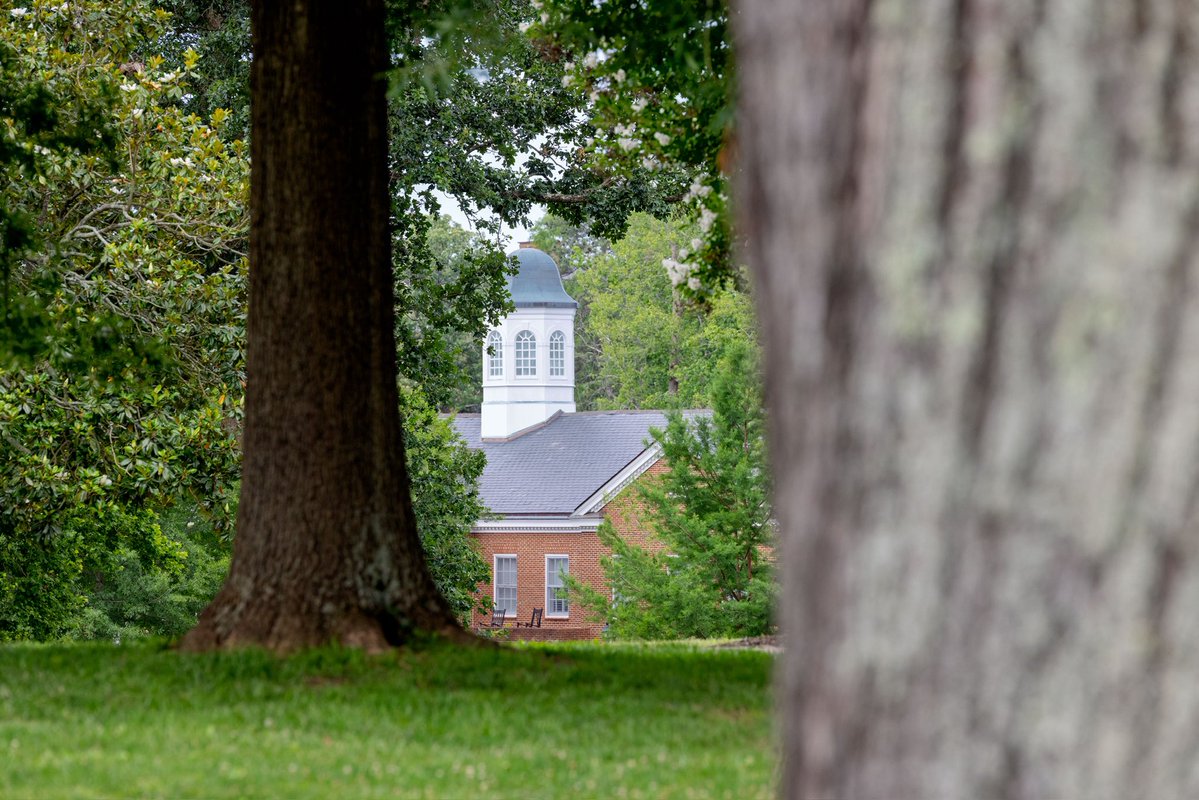 HSC1776's tweet photo. The Hill may be a little quieter, but the greenery is thriving. 🌿☀️ https://t.co/PpFBCU18hV