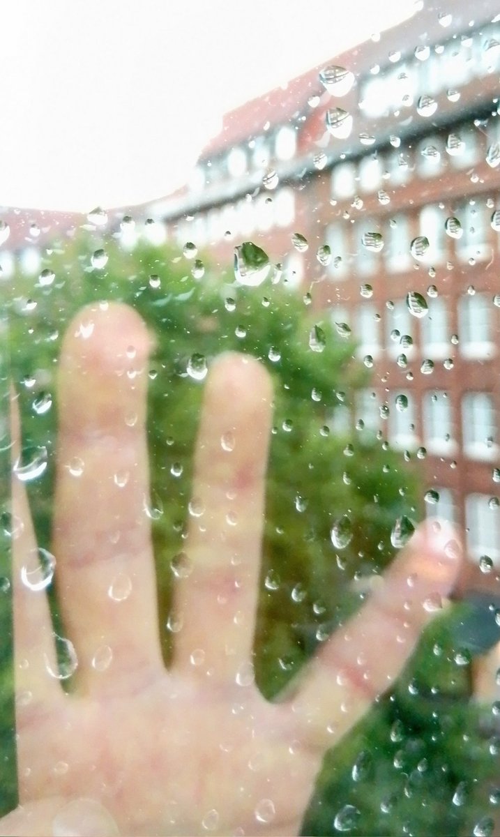 ARTDbyBarbara's tweet photo. On a rainy day,... https://t.co/duDHKz2gqT