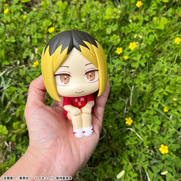 アニメイトオンライン新着！15%OFF るかっぷ ハイキュー!! 孤爪 研磨