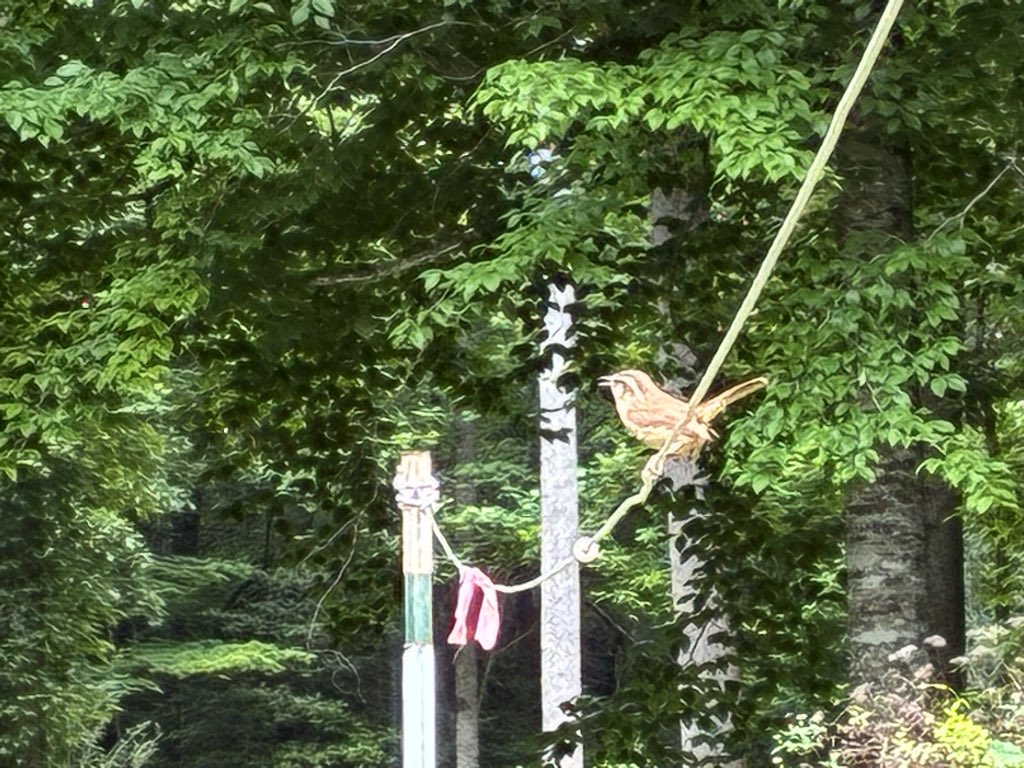 PJDoe's tweet photo. @Tom_Rowsell Cheers from North Carolina! https://t.co/2M8a6a0QXm