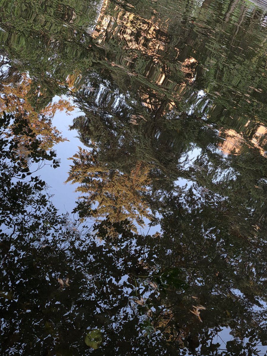 OtroraT's tweet photo. https://t.co/QuMkXikBhA