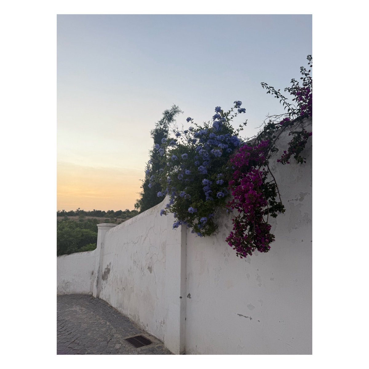 missceast's tweet photo. Tavira https://t.co/MzE78JXt5N