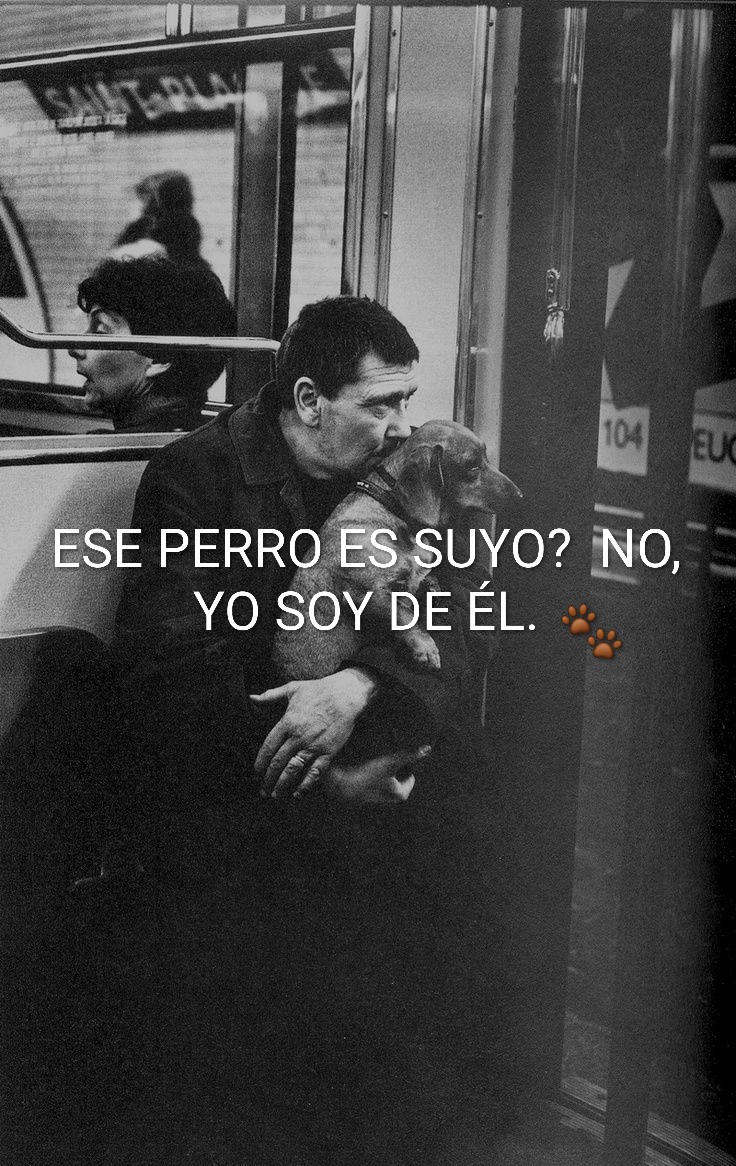 rey_latino33087's tweet photo. https://t.co/wEW27F6GIm