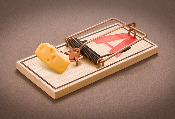 div1n3__'s tweet photo. @Zomboidwastaken @RealConorOil WHAT THE FUCK IS THE POINT OF HAVING THE CHEESE THERE THEN https://t.co/DzwAv24XQm