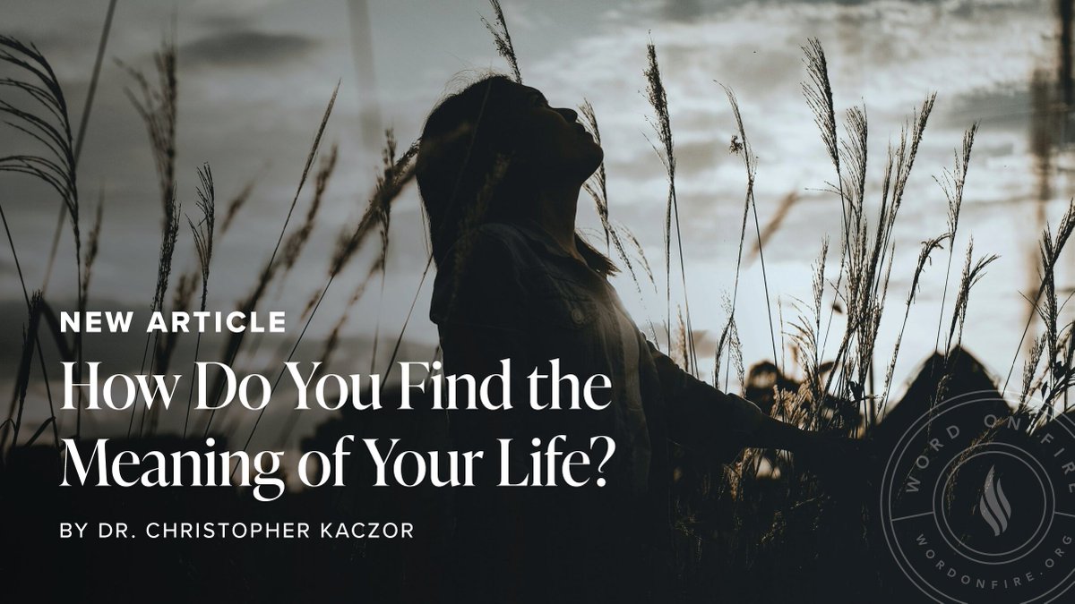WordOnFire's tweet photo. Many high-achieving people enjoy good meals with friends, hit their career goals, and yet still feel like they’re living a gray, hollow version of life. 

@arthurbrooks’s new #1 New York Times best-seller asks why. Read @Prof_Kaczor’s review here: https://t.co/gTz8de6jcE https://t.co/Ios2KPyZs3