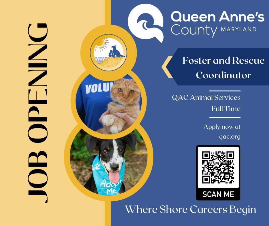QACGOV's tweet photo. 🐾 Now Hiring: Foster Rescue Coordinator! Help manage foster and rescue programs, support foster families, and improve outcomes for animals in our community. Full-time position with Queen Anne’s County Animal Services. 💰 $41,953–$80,792. Apply by June 15. EOE. https://t.co/VbnaIGvvIy