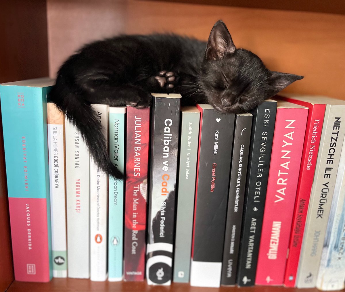 lilithfemf's tweet photo. Todayyy🫠🐈‍⬛🍻❤️ https://t.co/mimABvjvtw
