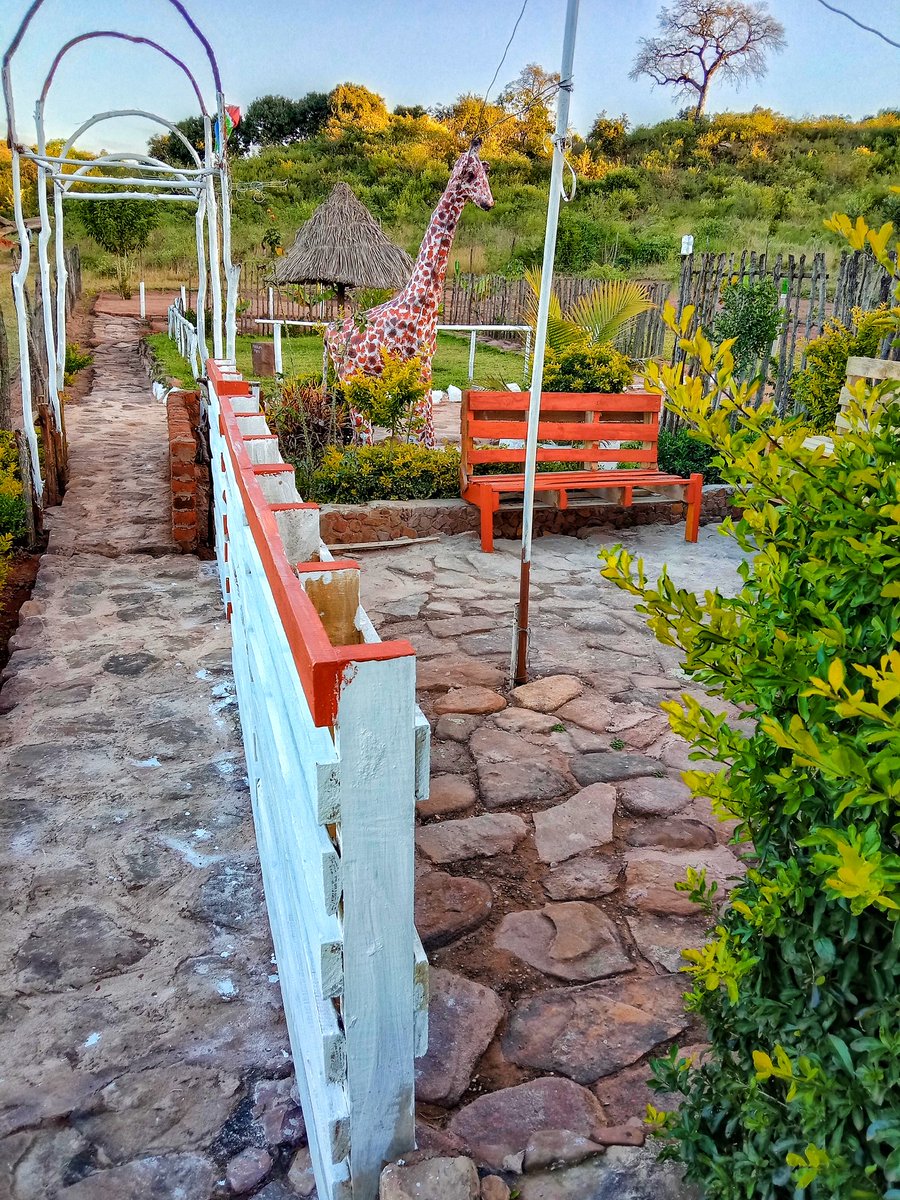 Trevor_sidogi's tweet photo. Guys I have created this little park back in 2019 before I verified my x account,if you see the potential please repost for me. This place also help children to come out from the streets during holidays and weekends. https://t.co/PXv86Oe8DD
