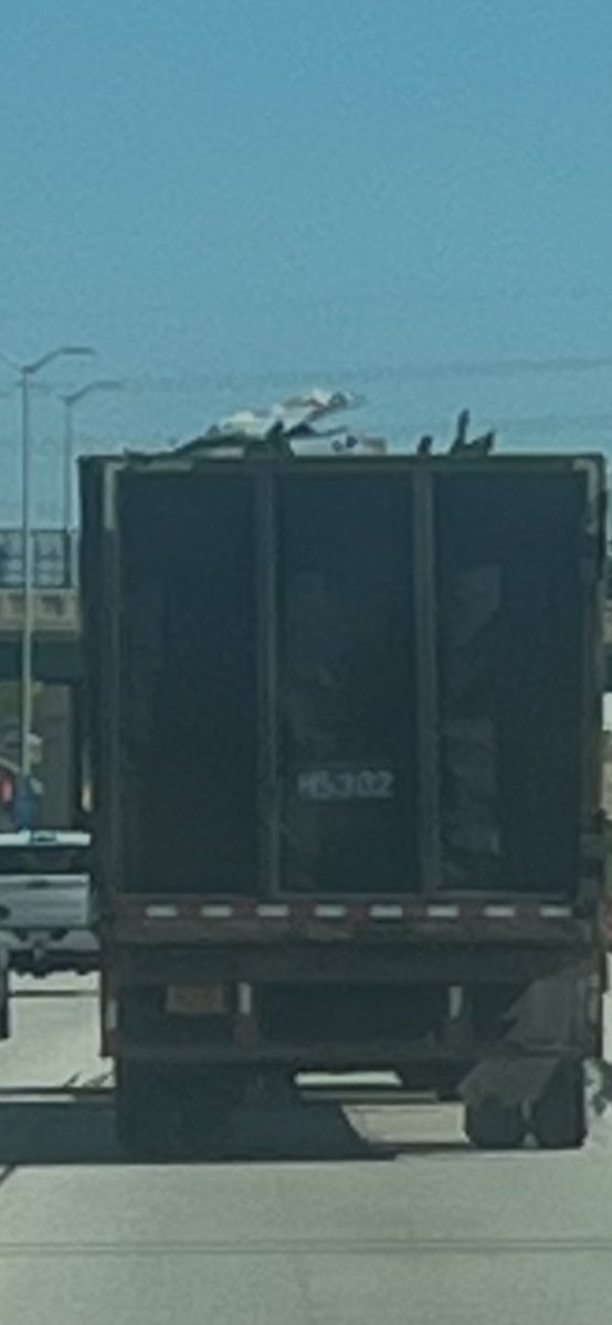 FrankSadowski5's tweet photo. @SecDuffy this morning in Milwaukee Wisconsin Highway 94 north this truck was untarped and chunks of concrete were bouncing out  of it onto the highway. I was able to avoid it and save myself,  a family or someone else may not be that fortunate.  In Wisconsin it is not illegal for a trucking company to not tarp their load that is some bullshit. I emailed the Milwaukee base company if you’d like to give them a call let me know.