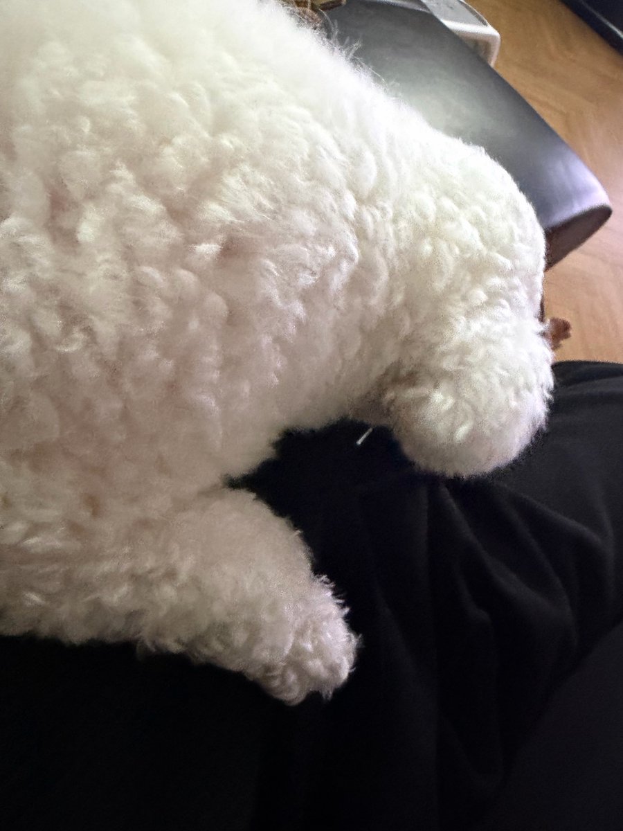 milkteus's tweet photo. 260603 sehun 🧼💌

“it’s vivi’s birthday??”
“even i didn't know so how did you know??”
(photo of vivi)
“happy birthday, vivi-ya
sorry for being late
i’ll (make sure) to pay more attention to you” https://t.co/odlCx1Vf7B